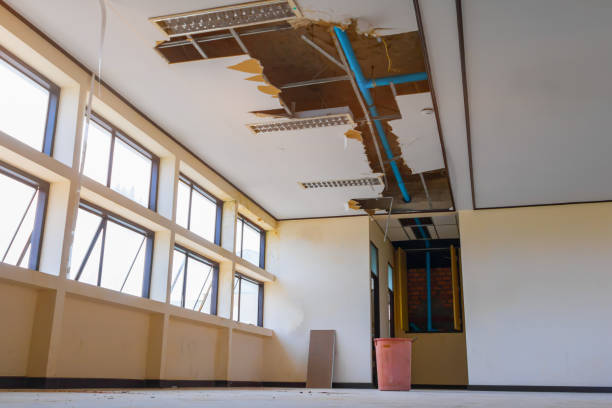 Best Ceiling water damage repair  in Bull Shoals, AR