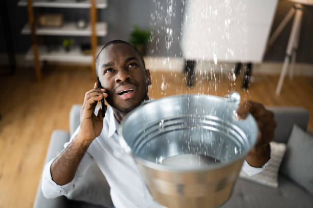 Best Sewage cleanup and water damage restoration  in Bull Shoals, AR