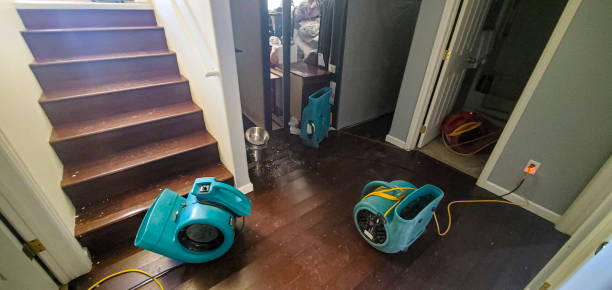 Best Local water damage restoration  in Bull Shoals, AR