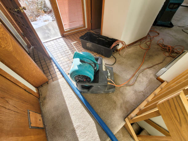 Best Flooded house restoration  in Bull Shoals, AR