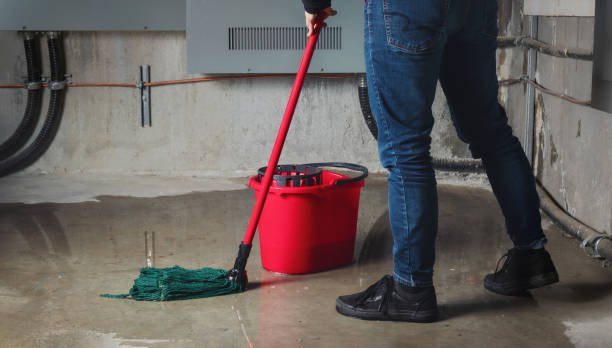Best Water damage restoration near me  in Bull Shoals, AR