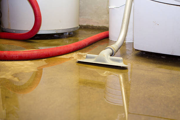 Best Water damage restoration near me  in Bull Shoals, AR