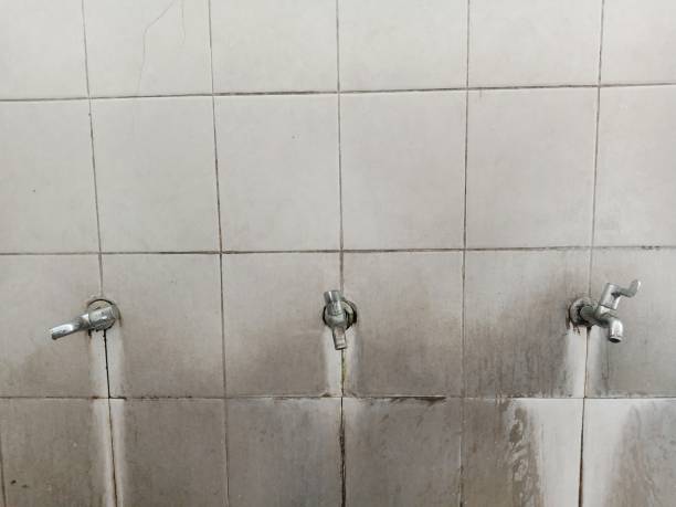 Best Flood restoration services  in Bull Shoals, AR