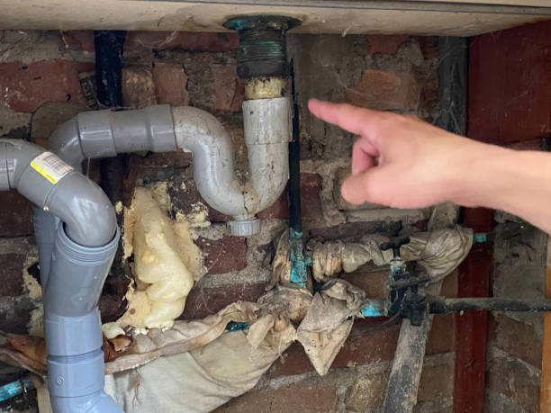 Best Water damage restoration mold remediation  in Bull Shoals, AR