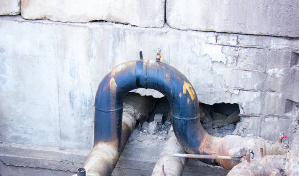 Best Water damage restoration process  in Bull Shoals, AR