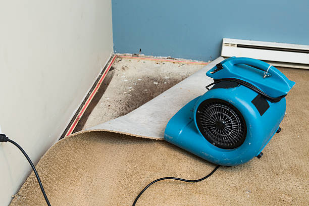 Water damage restoration process in AR